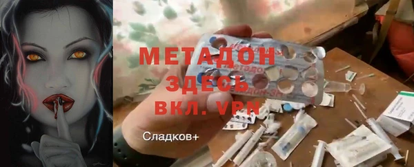 шишки Аркадак