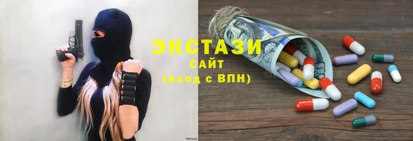 шишки Аркадак