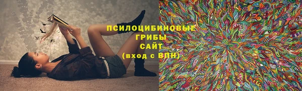 мдпв Арсеньев