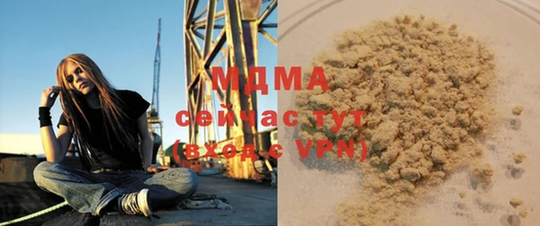 шишки Аркадак