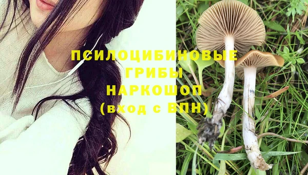 дурь Армянск