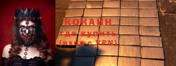 шишки Аркадак