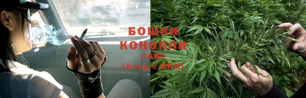 шишки Аркадак
