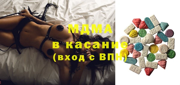 шишки Аркадак