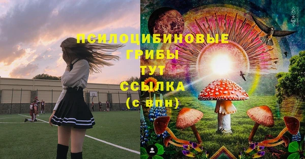 мдпв Арсеньев